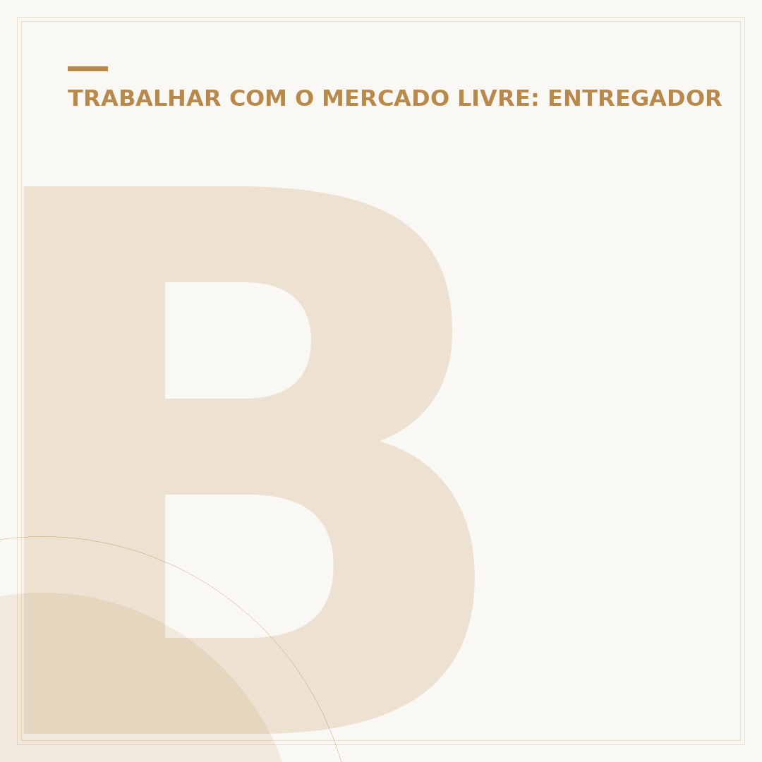 Bolsa para trabalhar no Mercado Livre