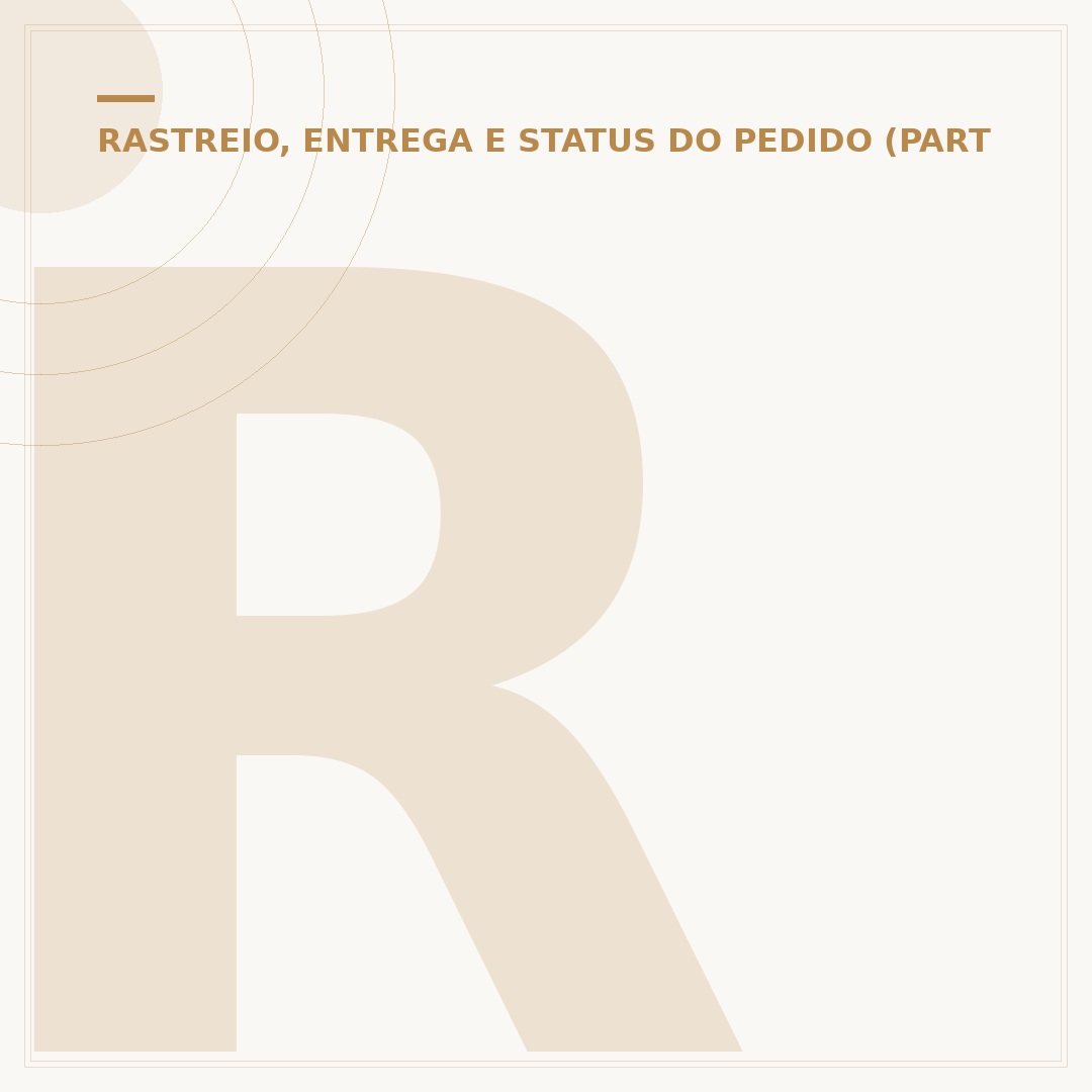 Rota de 4 horas Mercado Livre: quantos pacotes são enviados?
