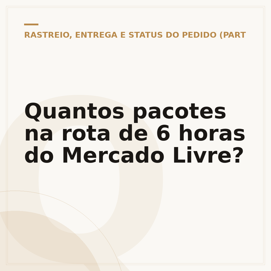 Quantos pacotes na rota de 6 horas do Mercado Livre?
